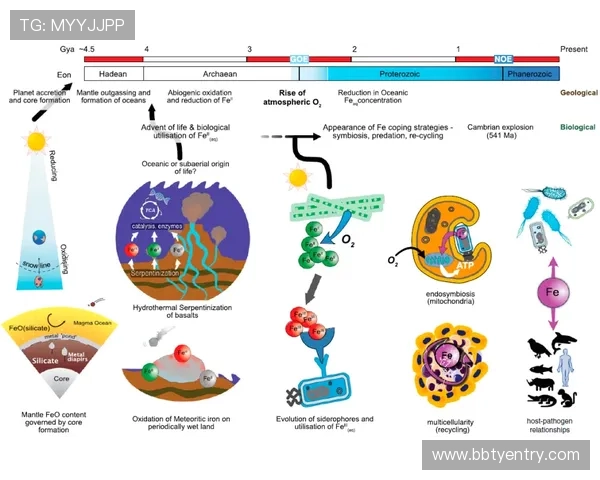 星辉体育九游会:丰富的体育赛事资源满足不同用户的多样需求 星辉体育九游会:丰富的体育赛事资源满足不同用户的多样需求