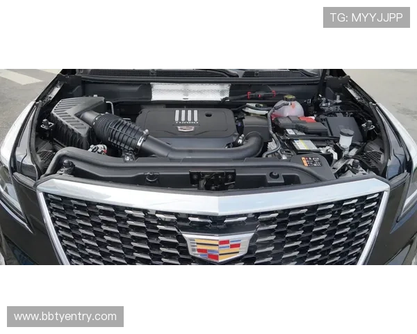 宝马足球投注网安全可靠，专业平台为您提供多样化足球投注选择